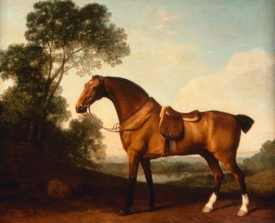 Un cazador bay ensillado de George Stubbs
