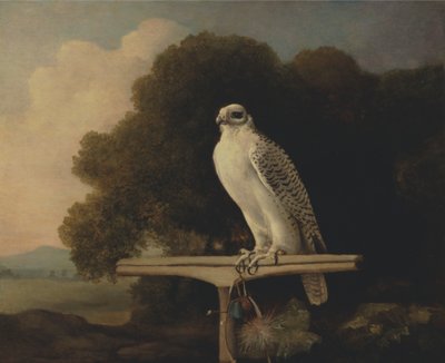Halcón de Groenlandia de George Stubbs