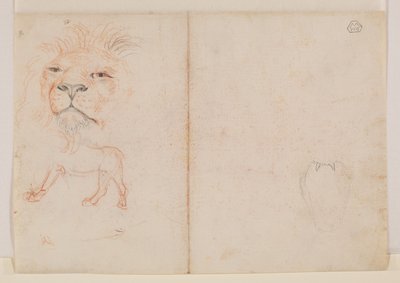 Cabeza de un león, verso, siglo XVIII o XIX de George Stubbs