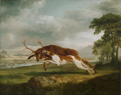 Un sabueso persigue a un ciervo de George Stubbs