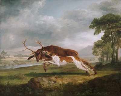 Perro cazando un ciervo de George Stubbs