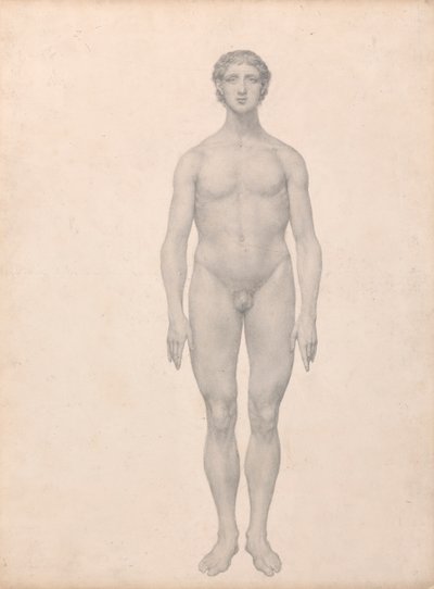 Figura humana, vista anterior, sin diseccionar (estudio terminado para el cuadro VI) de George Stubbs