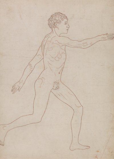 Figura humana, vista lateral (Esquema del estudio en el reverso de la Tabla VIII) de George Stubbs