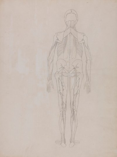 Figura humana, vista posterior (esbozo de la figura clave de una plancha inédita) de George Stubbs