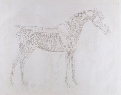 Ilustración de 