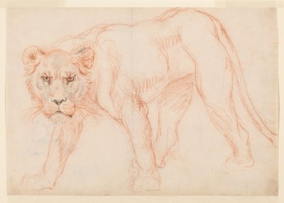 Leona acechando, recto, siglo XVIII o XIX de George Stubbs