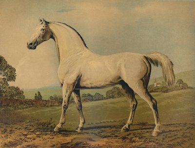Mambrino. Criado por Lord Grosvenor, c1770s, c1879 de George Stubbs