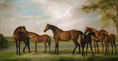 Yeguas y potros perturbados por una tormenta que se aproxima, 1764-66 de George Stubbs