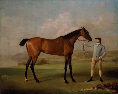 Molly Pataslargas con su Jinete de George Stubbs