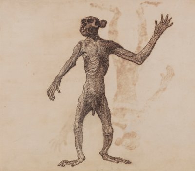 Mono de pie, vista anterior de George Stubbs