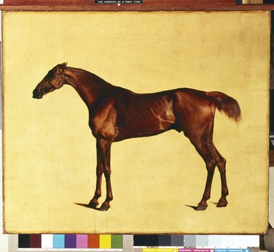 Pangloss (óleo sobre lienzo) de George Stubbs