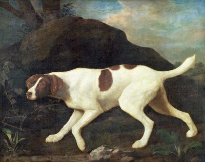 Phillis, un Pointer de Lord Clermont de George Stubbs