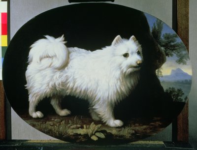 Retrato del perro faldero blanco de la Sra. French, 1782 de George Stubbs