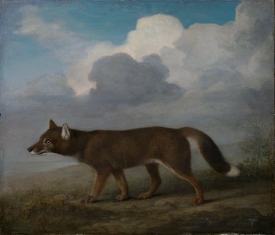 Retrato de un perro grande (Dingo) de George Stubbs