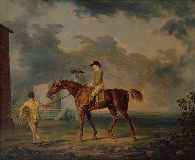 Sir Salomon, un caballo de carreras bayo con J.Singleton, Newmarket de George Stubbs