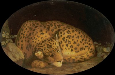 Leopardo dormido de George Stubbs