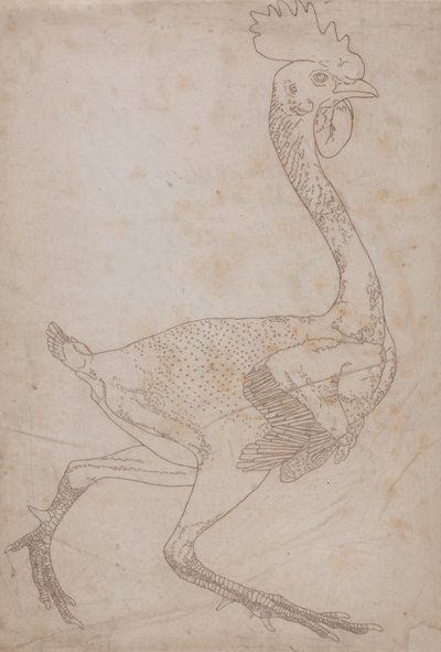 Estudio de un ave, vista lateral, de Una exposición anatómica comparativa de la estructura del cuerpo humano con la de un tigre y un ave común, 1795-1806 de George Stubbs
