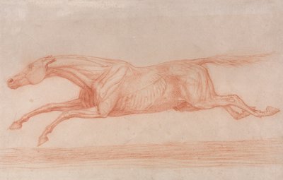 Estudio de un caballo de carreras en acción: Galope a la izquierda, un estudio semianatómico, con la piel desollada para mostrar la acción de los músculos de George Stubbs