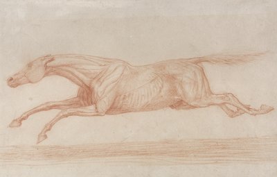 Estudio de un caballo de carreras en acción: galopando hacia la izquierda de George Stubbs