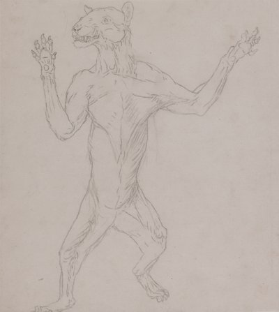 Estudio de un Tigre, De Pie en Postura Humana, de Una Exposición Anatómica Comparativa de la Estructura del Cuerpo Humano con la de un Tigre y un Ave Común, 1795-1806 de George Stubbs