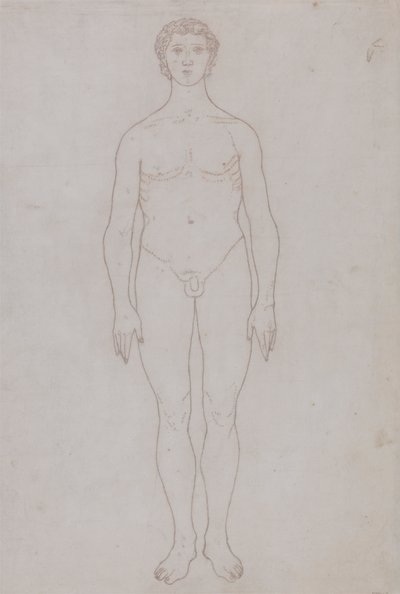 Estudio de la figura humana, vista anterior (Esquema de la tabla VI) de George Stubbs