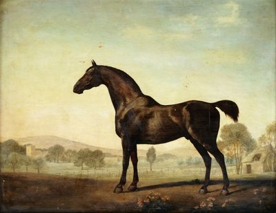 Sweetwilliam, un caballo de carreras bayo, en un paddock, 1779 de George Stubbs