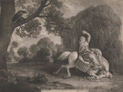 La Esposa del Granjero y el Cuervo, grabado por el artista, pub. 1788 de George Stubbs
