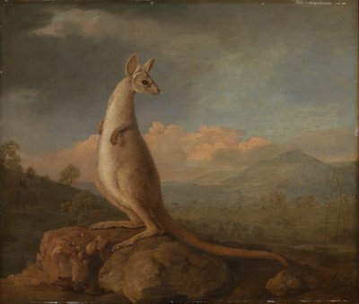 El Kongouro de Nueva Holanda (Canguro) de George Stubbs