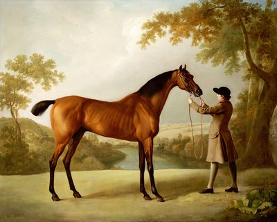 Tristram Shandy, un caballo de carreras bayo sostenido por un mozo de cuadra en un paisaje extenso, c.1760 de George Stubbs