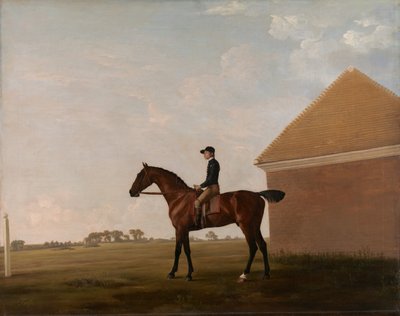 Turf, con jinete en Newmarket de George Stubbs