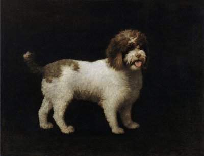Perro de aguas de George Stubbs
