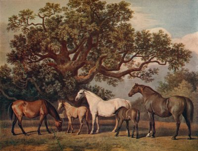 Yeguas y potros, finales del siglo XVIII, 1922 de George Townley Stubbs