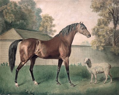 Dungannon de George Townley Stubbs