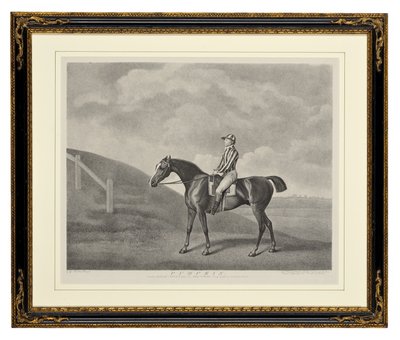 Calabaza de George Townley Stubbs