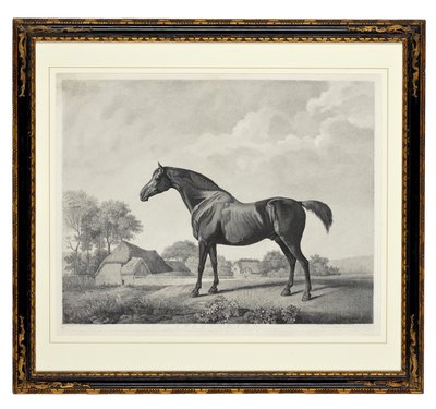 Escaramujo de George Townley Stubbs