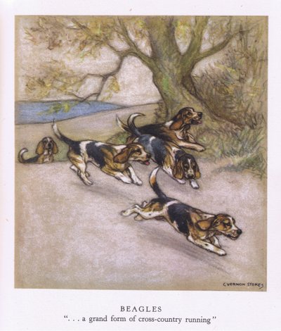 Beagles (litografía en color) de George Vernon Stokes