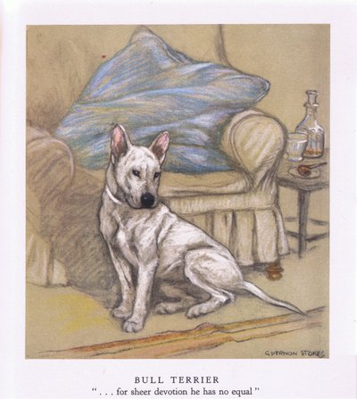 Bull Terrier (litografía en color) de George Vernon Stokes