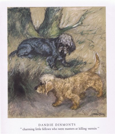 Dandie Dimonts (litografía en color) de George Vernon Stokes