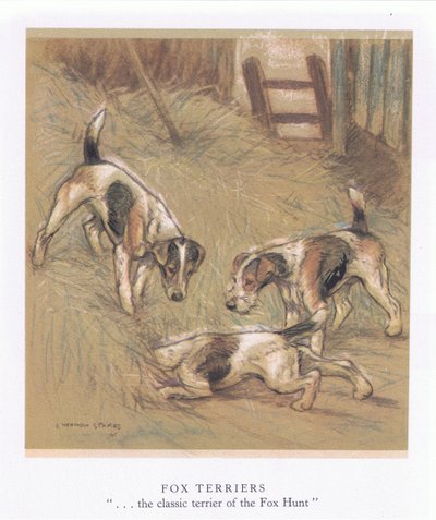 Fox Terriers (litografía en color) de George Vernon Stokes