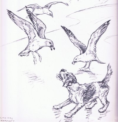 Rosie ahuyentando a las gaviotas, de Mudlarks publicado por Collins de George Vernon Stokes