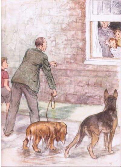 Los spaniels estaban empapados de barro y baba, de Pets Limited publicado por Collins de George Vernon Stokes