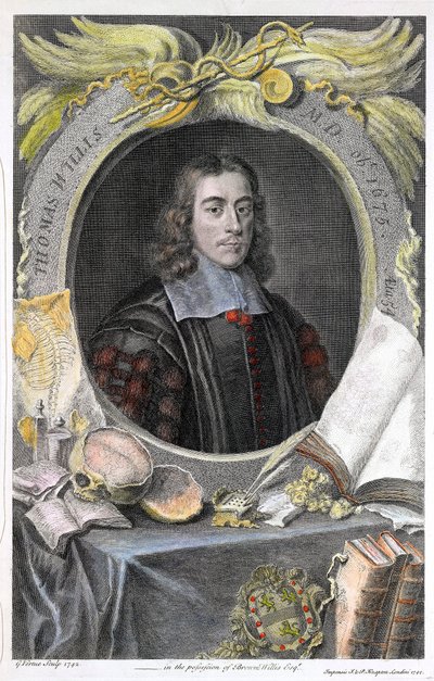 Portrait du medecin anglais Thomas Willis (1622-1675).Thomas Willis (1621-1675) médico inglés.Grabado coloreado a mano por el grabador inglés George Vertue. ©UIG/Leemage de George Vertue