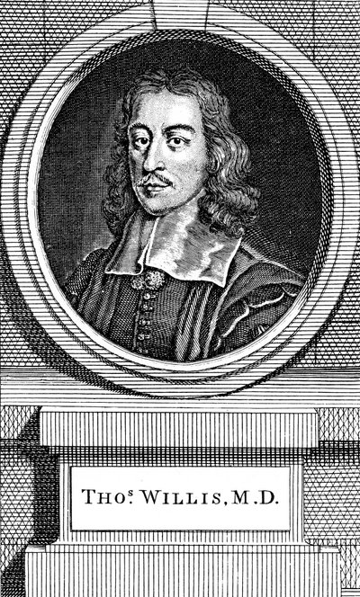 Thomas Willis, médico inglés del siglo XVII, 1742 de George Vertue