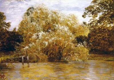 Antes de la tormenta, Abingdon de George Vicat Cole