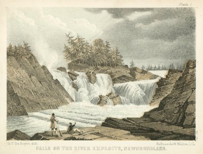 Falls on the River Exploits, Newfoundland (grabado coloreado) de George Victor Du Noyer