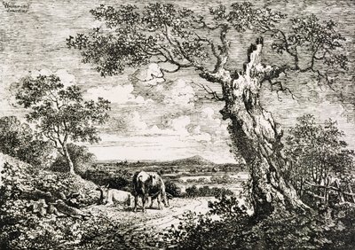 Dos vacas en un campo de George Walker