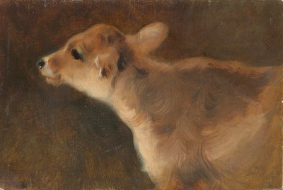 Un Ternero, 1879 de George Wiliam Horlor