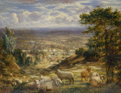 Paisaje de Verano con Ovejas de George William Mote