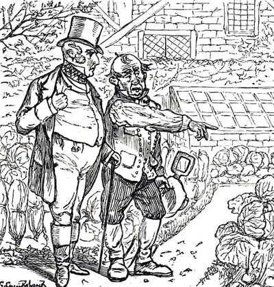 Caricatura que representa a un caballero con el jardinero en la parcela de vegetales de George du Maurier