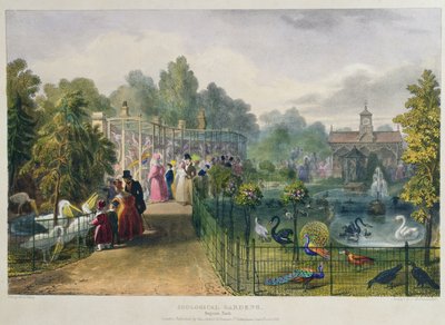 El aviario en los Jardines Zoológicos, Regents Park, grabado y publicado por el artista, impreso por Charles Hullmandel de George the Elder Scharf